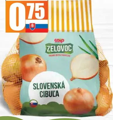 Cibuľa