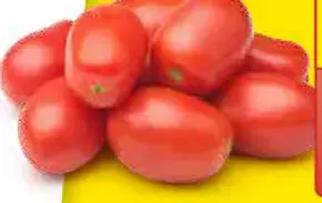 Shaker Paradajky cherry slivkové