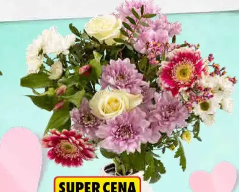 Kytička frézií