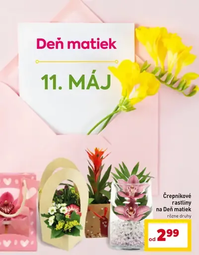 Črepníkové rastliny na Deň matiek