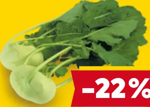 Chute Slovenska kaleráb s vňaťou