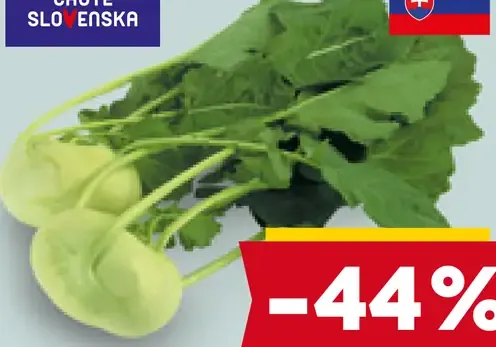 Chute Slovenska kaleráb s vňaťou