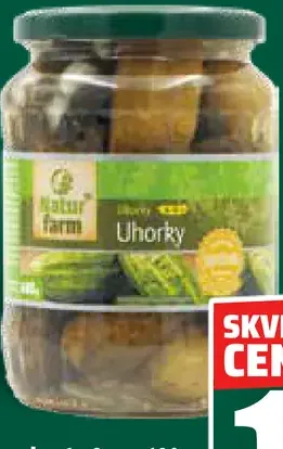 Uhorky