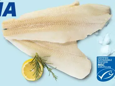 Halibut tmavý filety