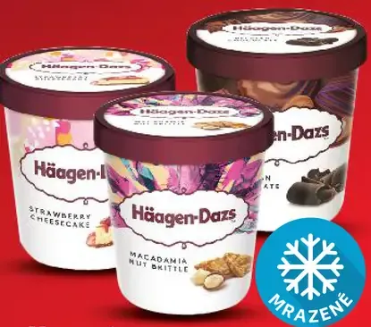 Häagen-Dazs Mrazený smotanový krém