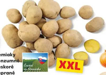 Zemiaky konzumné neskoré neprané