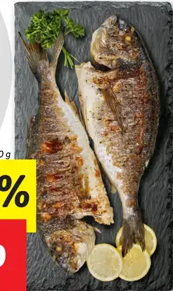 Pražma zlatá
