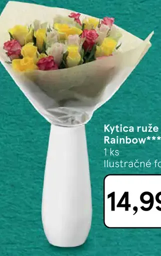 Kytica ruže Rainbow