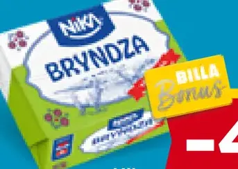 Nika májová bryndza