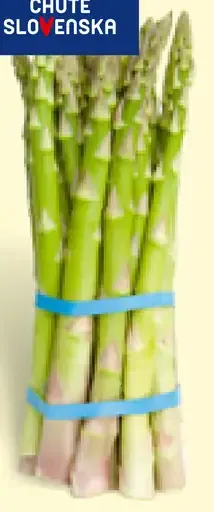 Chute Slovenska BIO špargľa zelená