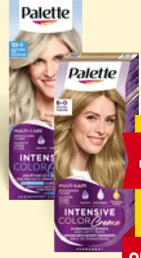 Palette ICC farba na vlasy