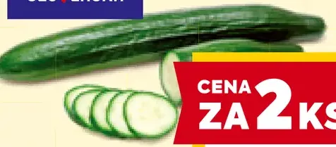 Chute Slovenska uhorka šalátová