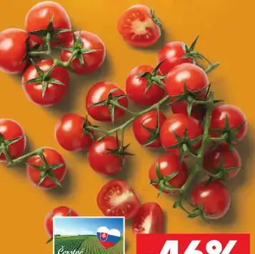 Paradajky cherry strapcové