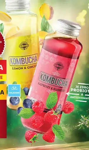 Solevita Kombucha
