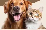 Energy Pet mäkké prúžky pre psov