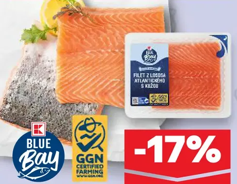 BlueBay Losos atlantický