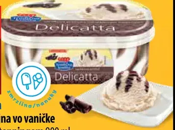 Delicatta zmrzlina v vaničke s čokoládovým toppingom
