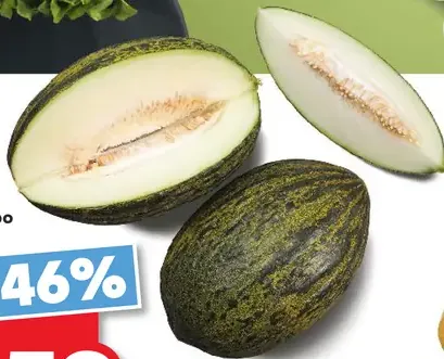 Melón Piel de Sapo