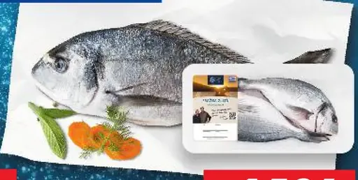 Púražma zlatá celá, pitvaná