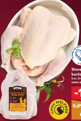 Slovenské kurča Wyza