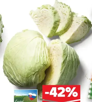 Kapusta biela skorá