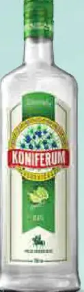 Borovička Limetka Koniferum