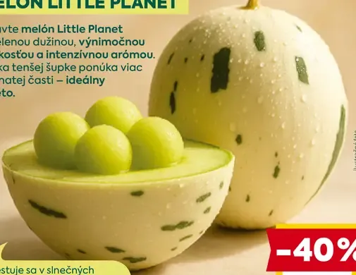 Melón Little Planet