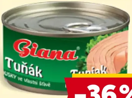 Giana tuniakové kúsky