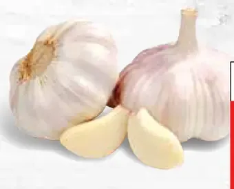 Cesnak