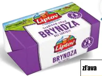 Liptov Bryndza bez laktózy