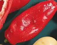 Mäkva