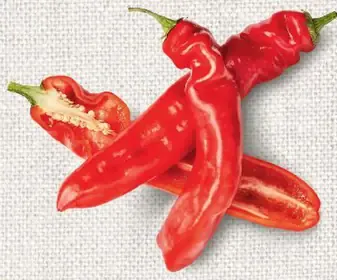 Bio Paprika špicatá sladká