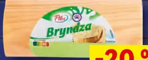 Pilos Bryndza v dyhe
