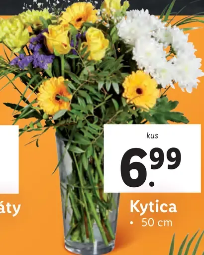 Kytica