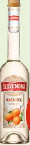 Slovenská marhuľa