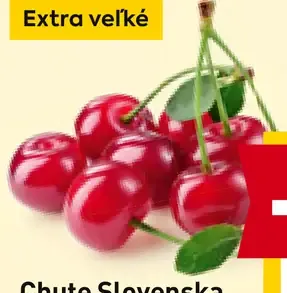 Chute Slovenska čerešne