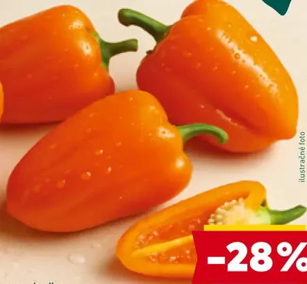 Paprika Tatayoyo