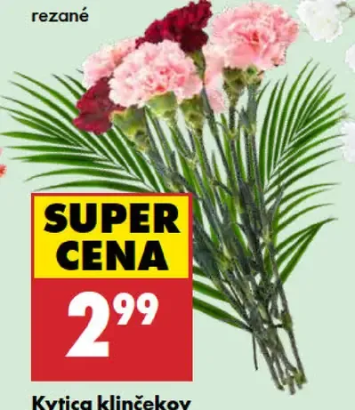 Kytica klinčekov s palmovým listom