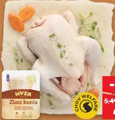 Zlaté kurča