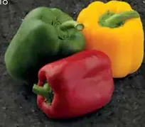 Tesco Grill Master paprika mix