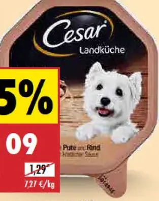 Cesar Krmivo pre psy vanička morčacia/hovädzie