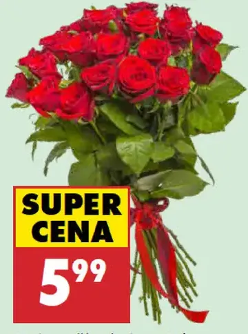 Kytica ruží prémium