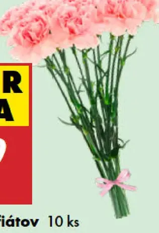 Kytica karafiátov prémiová