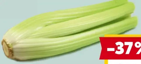 Sedano zeler stopkatý