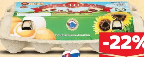 Vajcia M