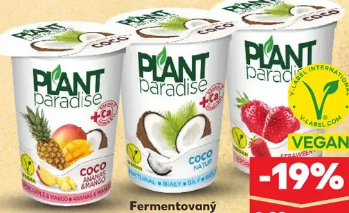 Plant Paradise Fermentovaný kokosový výrobok