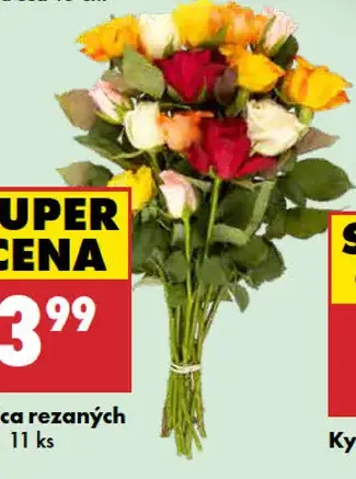 Kytica rezaných ruží