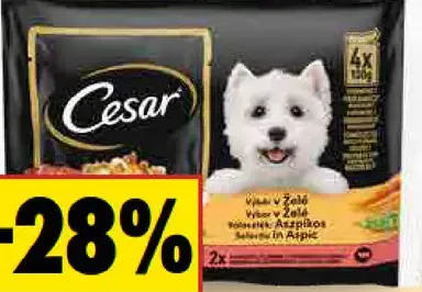 Cesar Krmivo pre psy kapsičky