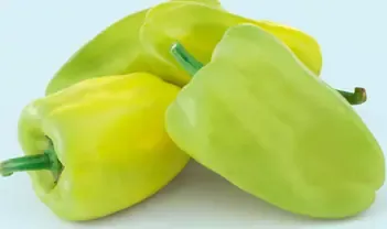 Paprika pálivá