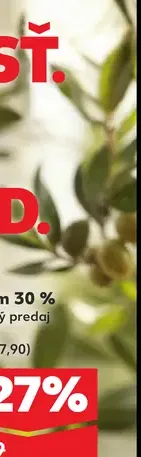 Eidam syr